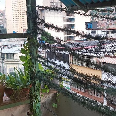 Hotel Don Gato 卡拉卡斯 外观 照片