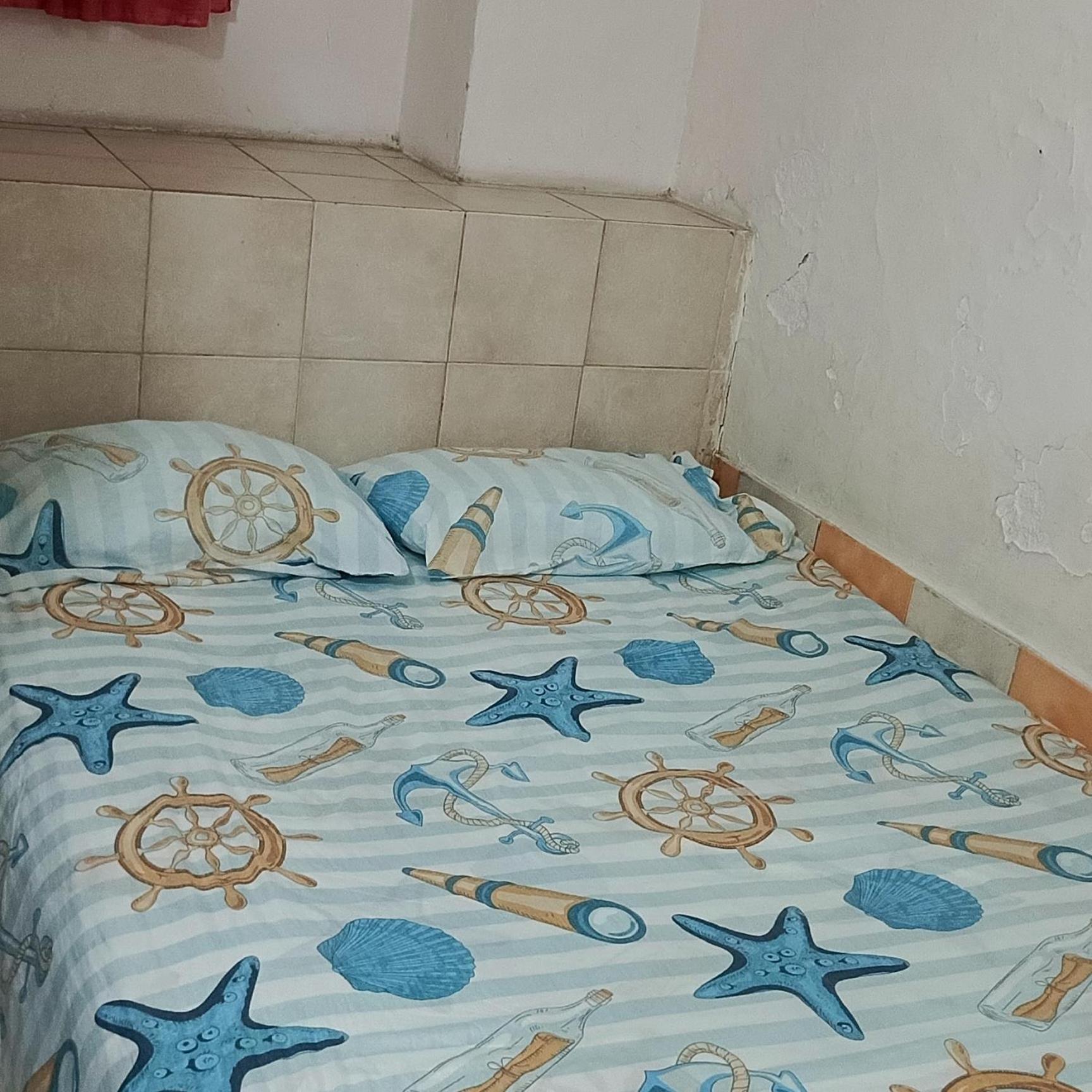 Hotel Don Gato 卡拉卡斯 外观 照片